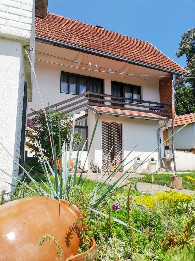 Rtanjski Konak Boljevac Exteriör bild